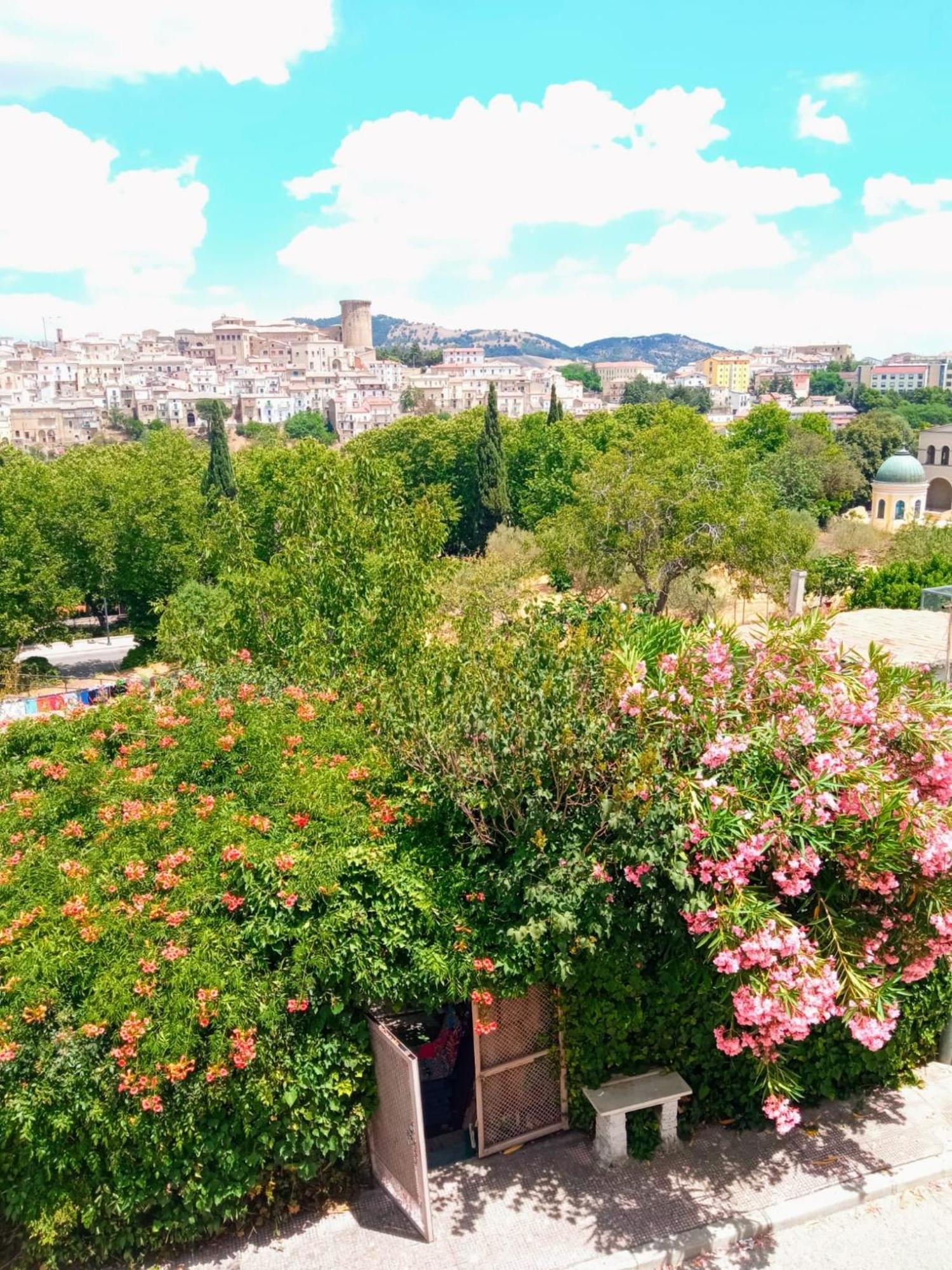 Comfort, Parcheggio E Balcone Su Tricarico In Basilicata, Io Sono Qui Exteriér fotografie